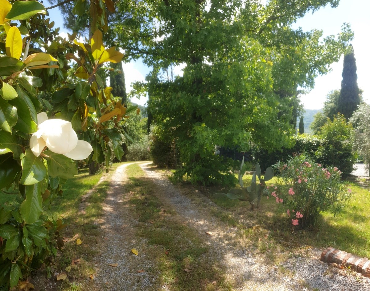 Podere Pagliaio 1 &mdash; La strada di accesso alla villa